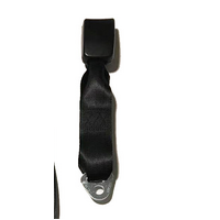 APV -S 275mm Fixed Length Webbing Buckle